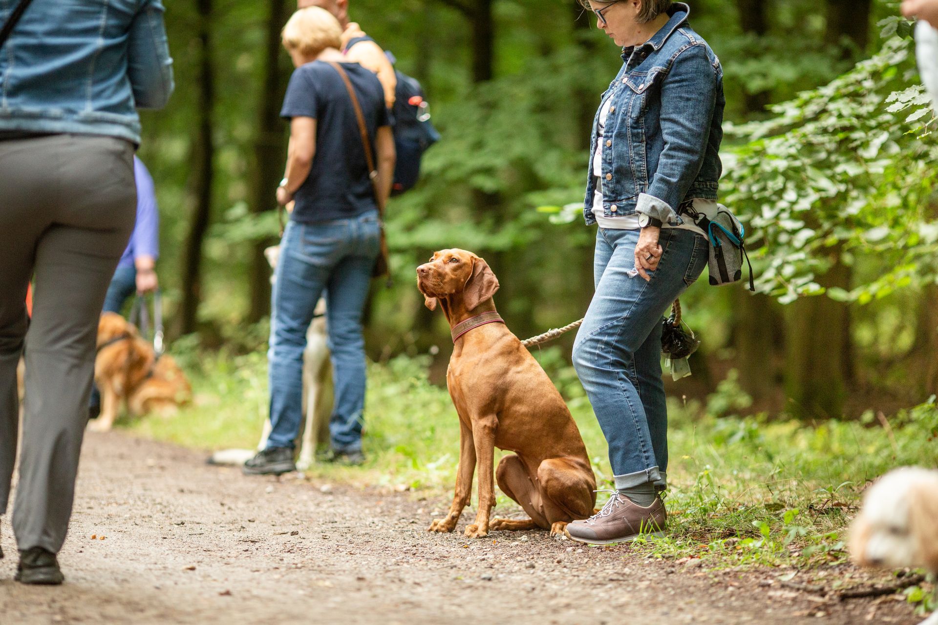 Social Walk der Hunderepublik – Aufnahme 6